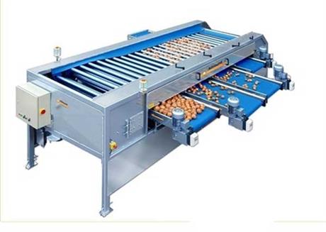 Techmart Công nghệ sau thu hoạch trực tuyến 2021: Máy phân cỡ củ quả kiểu con lăn nâng