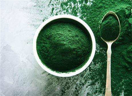 Mời tham dự hội thảo giới thiệu “Công nghệ nuôi tảo Spirulina ứng dụng trong sản xuất thức ăn chăn nuôi, thủy sản quy mô nông hộ và công nghiệp”