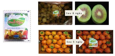Techmart Công nghệ sau thu hoạch trực tuyến 2021: Sản phẩm duy trì độ tươi cho trái cây và nông sản