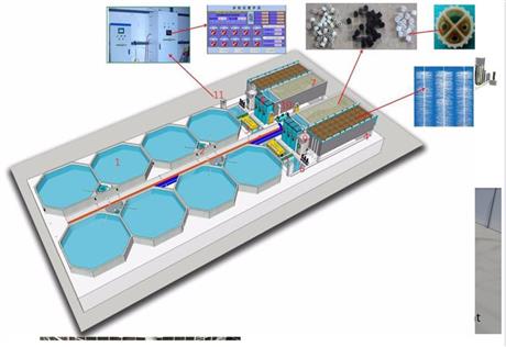 Giải pháp nuôi lươn không bùn bằng hệ thống tuần hoàn