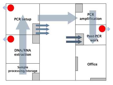 Quy trình kĩ thuật PCR trong nghiên cứu, xét nghiệm và sản xuất