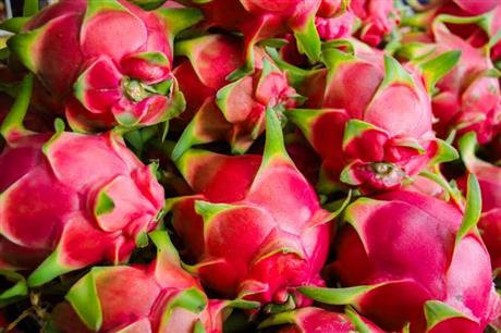 Giải pháp bảo quản trái thanh long