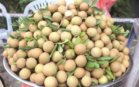 Giải pháp bảo quản trái nhãn