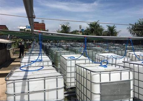 Công nghệ nuôi tảo Spirulina ứng dụng trong sản xuất thức ăn chăn nuôi, thủy sản quy mô nông hộ và công nghiệp