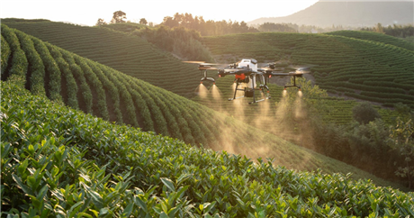 Máy bay phun thuốc cho các loại cây rau, hoa, cây ăn quả, hồ tiêu, cà phê