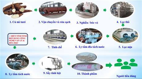 Giải pháp sản xuất tinh bột biến tính E 1420 ứng dụng công nghệ vật lý siêu âm từ trường