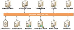 Hệ thống trục liên thông ESB (ENTERPRISE SERVICE BUS)