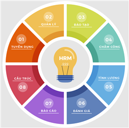 Phần mềm quản lý nhân sự HRM