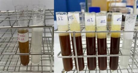 Tinh chế hoạt chất Saponin từ bồ kết và bồ hòn