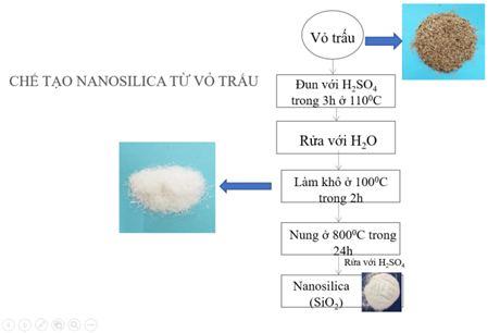 Sinh viên dùng trấu và chùm ngây xử lý kháng sinh trong nước thải