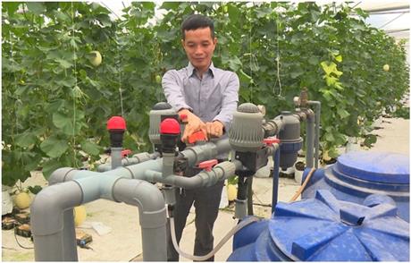 Phát triển nông nghiệp sạch bằng phân bón hữu cơ