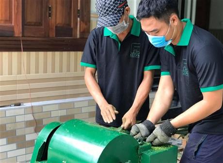 Ecofa: Nâng cao giá trị cây dứa bằng những giải pháp xanh