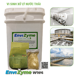 Vi sinh xử lý nước thải sản xuất giấy và bột giấy EnviZyme WW4