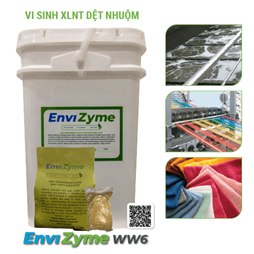 Vi sinh xử lý nước thải dệt nhuộm EnviZyme WW6