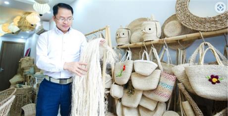 Máy tách sợi chuối: Đánh thức tiềm năng một loài cây quen thuộc