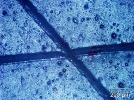 Nghiên cứu tổng hợp vật liệu tự lành trên cơ sở kết hợp cấu trúc mạng đan xen của polyurethane nhớ hình với liên kết Diels-Alder và mạch linh động