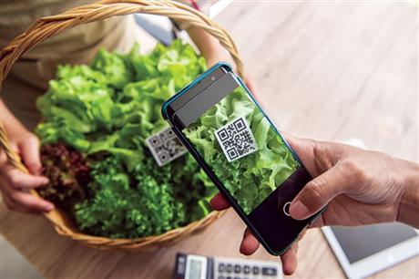 Truy xuất nguồn gốc nông sản: Sơ khởi cả về nhận thức và thực hành