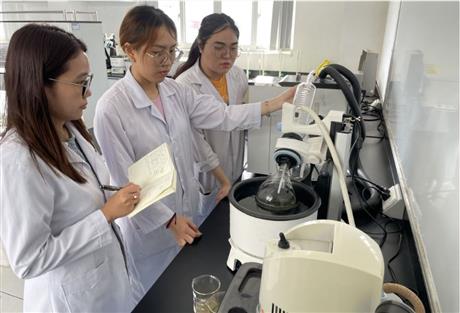 Làm muối từ mai mực