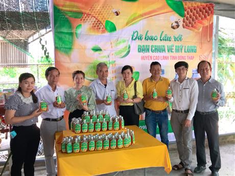 Dây chuyền "Công nghệ sản xuất nước cốt chanh mật ong" cho HTX ở Đồng Tháp do CESTI kết nối, chính thức vận hành