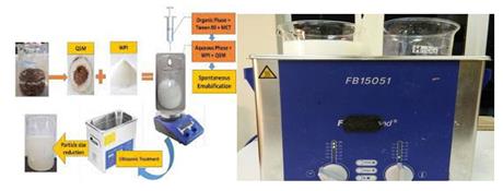 Tiềm năng lớn từ ứng dụng công nghệ nhũ siêu âm dòng liên tục trong sản xuất công nghiệp
