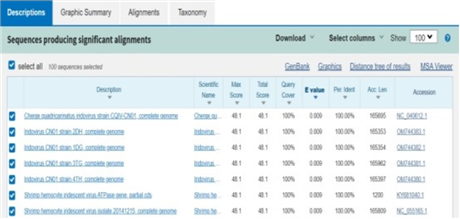 Nghiên cứu xây dựng quy trình real-time PCR phát hiện virus DIV1 (Decapod Iridescent Virus 1) gây bệnh trên tôm