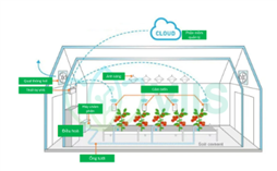 Hệ thống tích hợp điều khiển toàn diện nhà kính