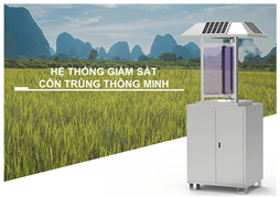 Hệ thống giám sát côn trùng thông minh