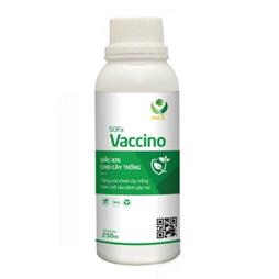 Vaccine phòng trừ các loại nấm bệnh cây trồng (nấm Chaetominum spp) SOFa Vaccino
