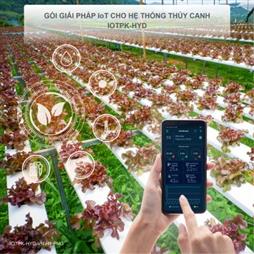 Giải pháp IoT giám sát hệ thống thuỷ canh