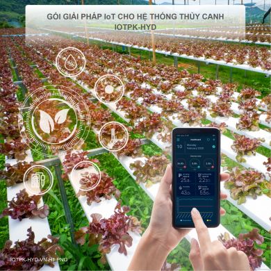 Giải pháp IoT giám sát hệ thống thuỷ canh