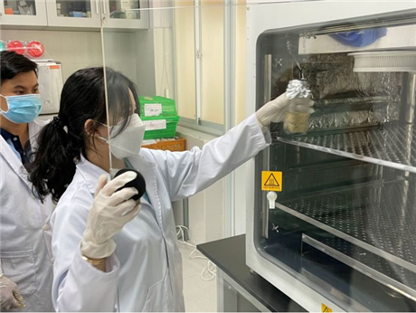 Sinh viên dùng CO2 hãm phát triển nấm mốc trên lúa