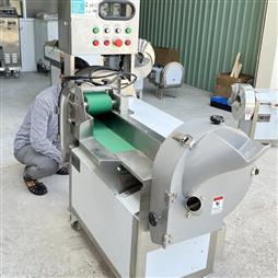 MÁY THÁI RAU CỦ QUẢ 2 ĐẦU