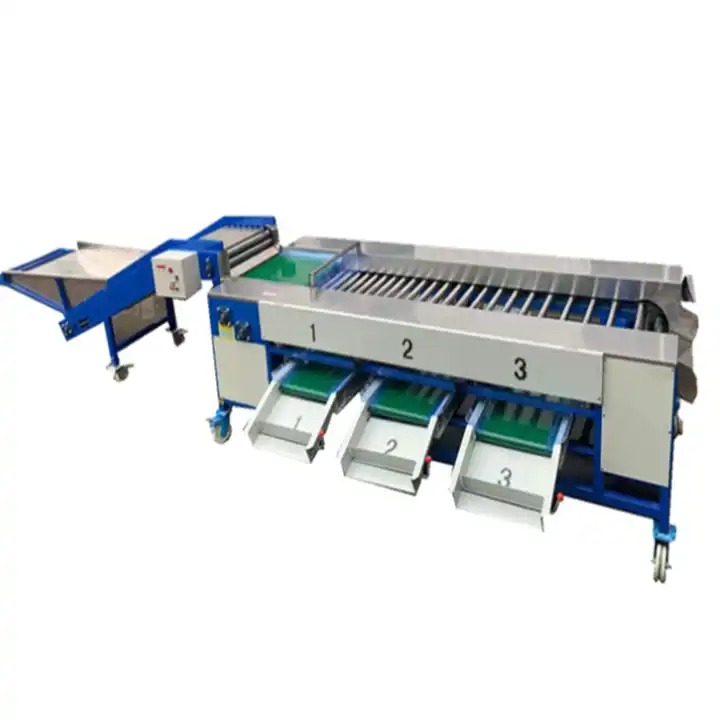 Máy phân loại trái cây
