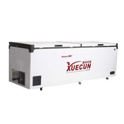 Tủ đông 2M BD/BC-798
