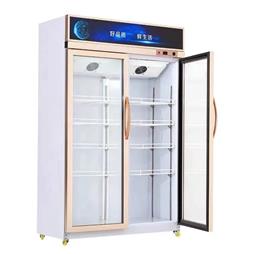 Tủ mát 2 cửa LC-1200HX
