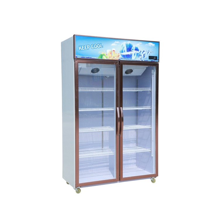 Tủ mát 2 cửa LC-1200F