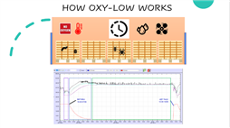 Hệ thống hun trùng hữu cơ Oxylow kết hợp bảo quản Komot