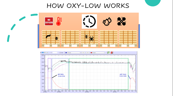 Hệ thống hun trùng hữu cơ Oxylow kết hợp bảo quản Komot