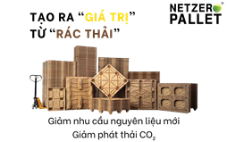 Giải pháp sản xuất nhựa sinh học và pallet từ phế phẩm nông nghiệp thải bỏ (Vỏ dừa)