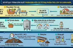 Quy trình xử lý phụ phẩm trong chế biến trái cây thành phân bón hữu cơ