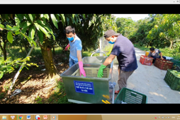 Quy trình công nghệ xử lý sau thu hoạch xoài