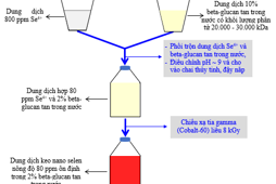 Quy trình sản xuất bột nano selen ổn định trong beta-glucan tan trong nước có hoạt tính tăng cường miễn dịch bằng phương pháp chiếu xạ tia gamma (Cobalt-60)