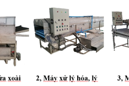 Hệ thống thiết bị xử lý xoài