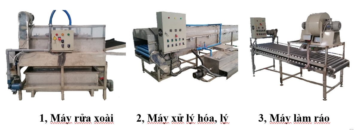 Hệ thống thiết bị xử lý xoài