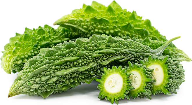 Giống Mướp đắng AHRD06