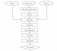 Công nghệ sản xuất chanh xắt lát sấy thăng hoa 100kg/mẻ