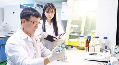 Ứng dụng dược liệu thay thế kháng sinh trong nuôi tôm