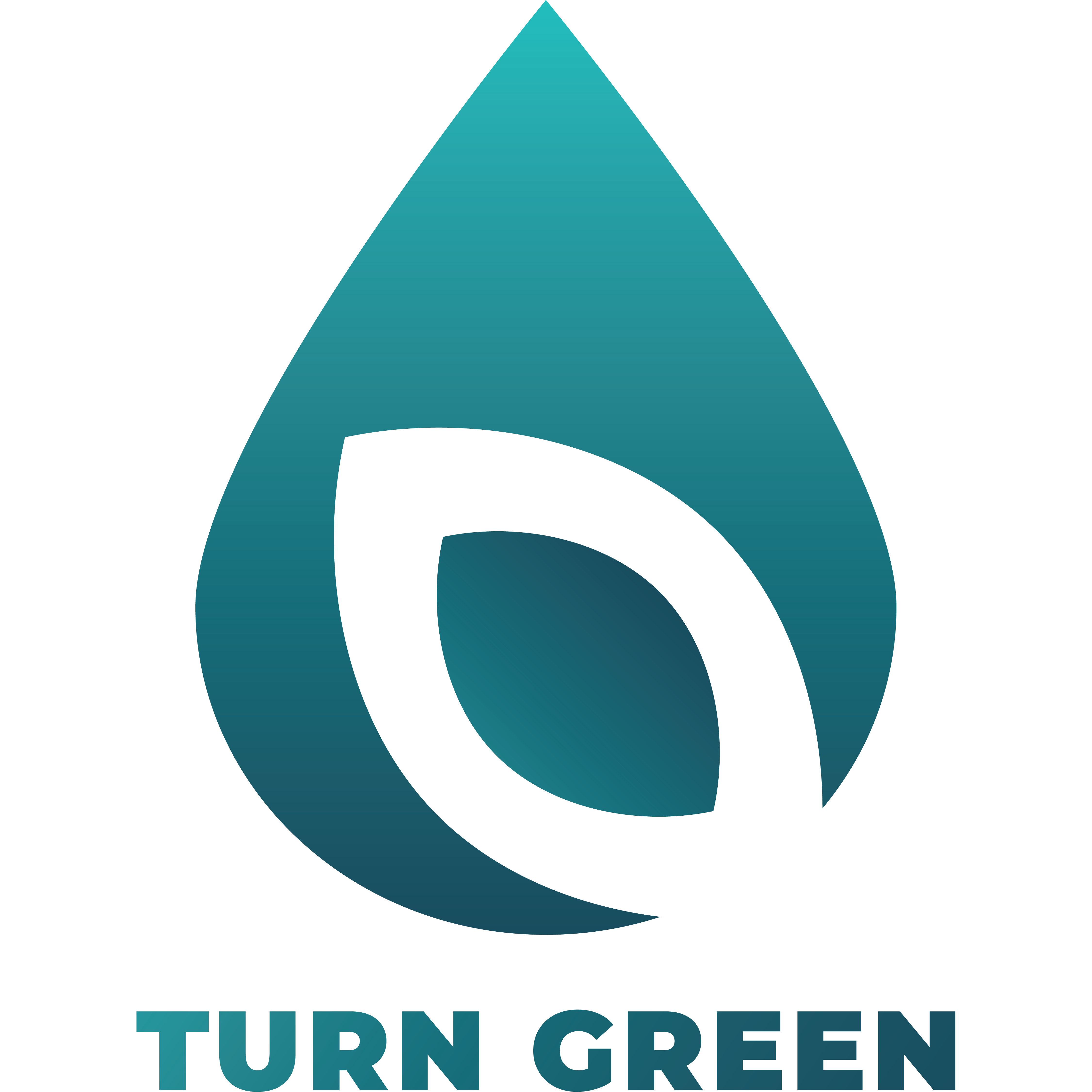 Công ty Cổ phần Turn Green Holding
