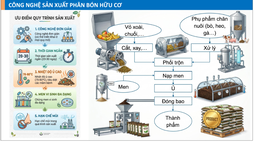 Công nghệ và thiết bị sản xuất phân hữu cơ từ phụ phẩm nông sản (xoài, dứa, mít, thanh long, sầu riêng...)