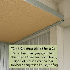 Công nghệ chế tạo tấm trấu làm vật liệu cách âm, cách nhiệt